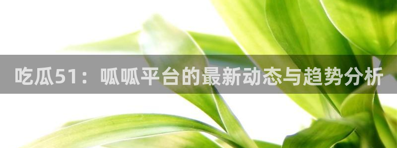 吃瓜51：呱呱平台的最新动态与趋势分析