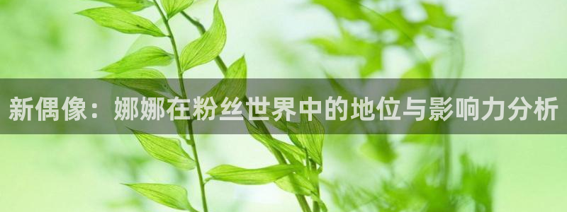 新偶像：娜娜在粉丝世界中的地位与影响力分析