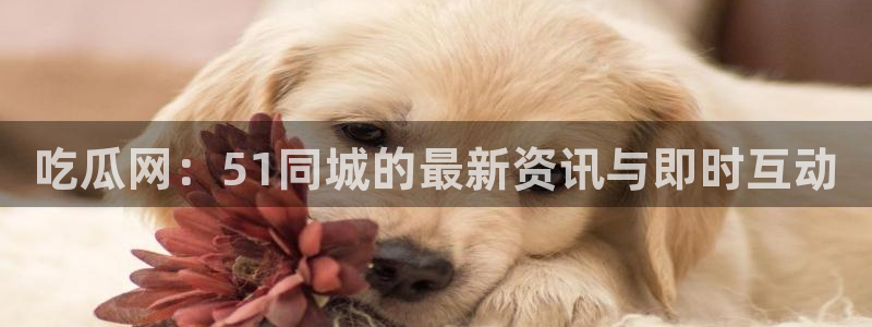 吃瓜网：51同城的最新资讯与即时互动